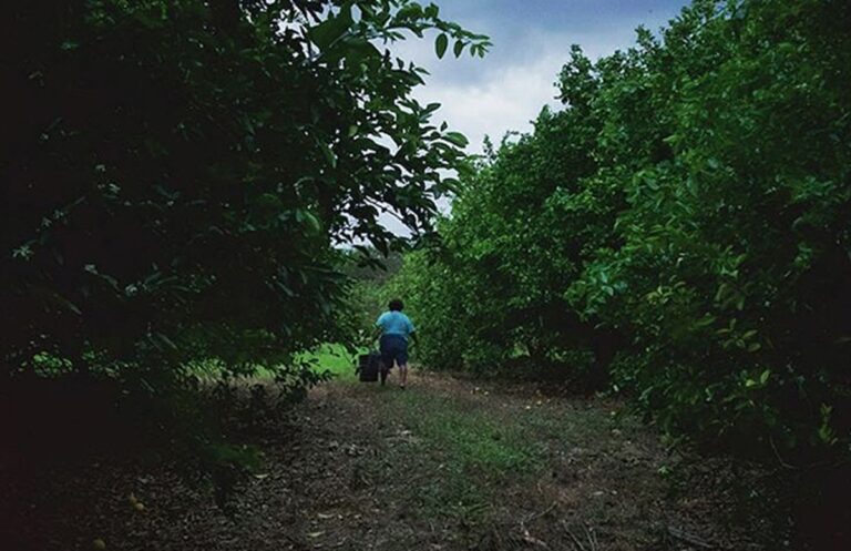 Mujeres rurales contribuyen produciendo el 50% de los alimentos en el mundo