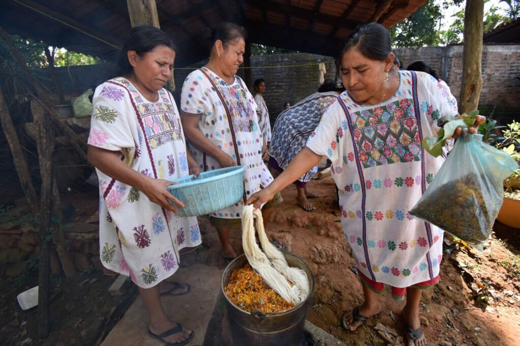Las invaluables aportaciones de las mujeres indígenas a México
