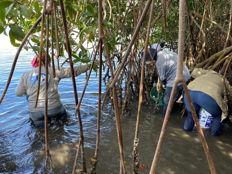 En México, en la pesca, las mujeres son marea