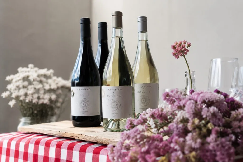 Mujeres In Taninos presenta Intanino, vino colaborativo que impulsa el liderazgo femenino en la industria vitivinícola mexicana.