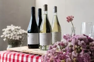 Mujeres In Taninos presenta Intanino, vino colaborativo que impulsa el liderazgo femenino en la industria vitivinícola mexicana.