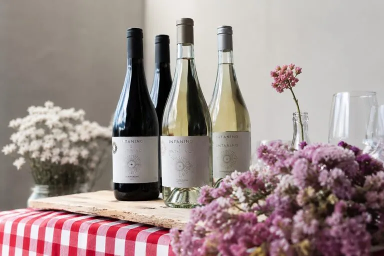 Mujeres In Taninos presenta Intanino, vino colaborativo que impulsa el liderazgo femenino en la industria vitivinícola mexicana.