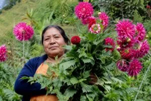 Mujeres Ñuu Savi trabajan en cultivos comunitarios en Oaxaca para fortalecer su independencia financiera y el desarrollo rural.