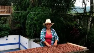 Cacao de Portoviejo impulsa un negocio familiar de chocolate artesanal y producción sostenible en Ecuador