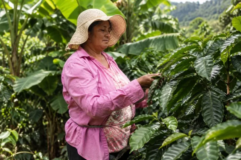 La pobreza femenina podría aumentar en Colombia por brechas de cuidado, crédito, tecnología, clima y envejecimiento.