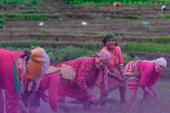 Mujeres Rana Tharu de Nepal preservan su cultura mediante vestimenta, rituales y conocimientos transmitidos entre generaciones.
