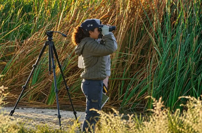 Mujeres de La Ribera realizan ciencia comunitaria, educación y monitoreo para proteger esteros con biodiversidad en Baja California Sur.