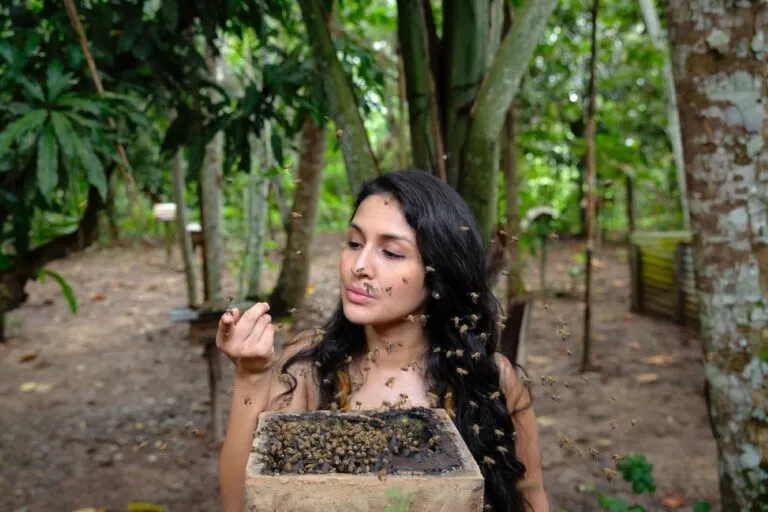 Abejas sin aguijón ayudan a conservar la biodiversidad de la Amazonía junto con comunidades indígenas e investigadores.