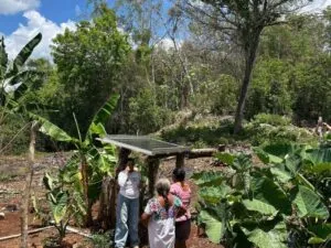Mujeres mayas y energía solar transforman comunidades de Quintana Roo mediante paneles, capacitación y autonomía energética.